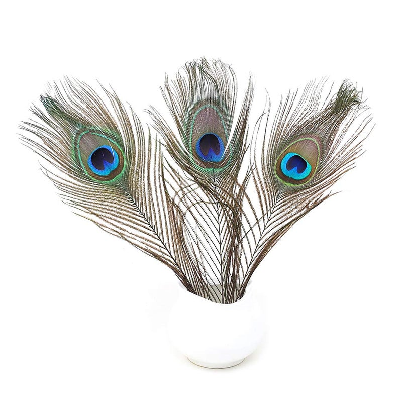 Ballinger 60 PCS Real Natural Peacock Eye Feathers 10-12 inch for DIY Craft, Wedding and Holiday Decorations - Image 5